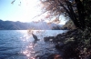 栃木県 日光 中禅寺湖畔 逆光撮影